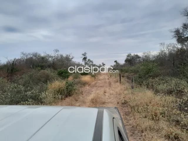 Campo de 4.000 Hectáreas en la Colonia Soldado Guaraní-CLCS5561089, foto 5