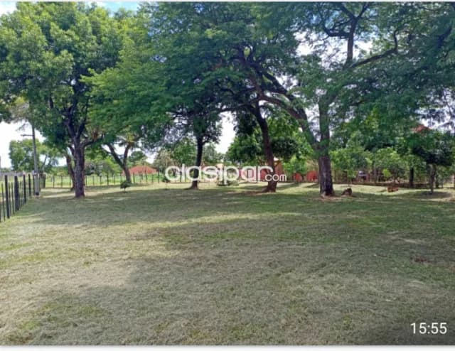 Hermoso 3 terrenos juntos en Ypané — foto 2