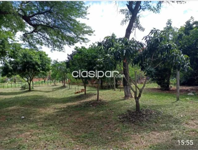 Hermoso 3 terrenos juntos en Ypané — foto 4