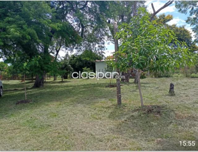 Hermoso 3 terrenos juntos en Ypané — foto 5