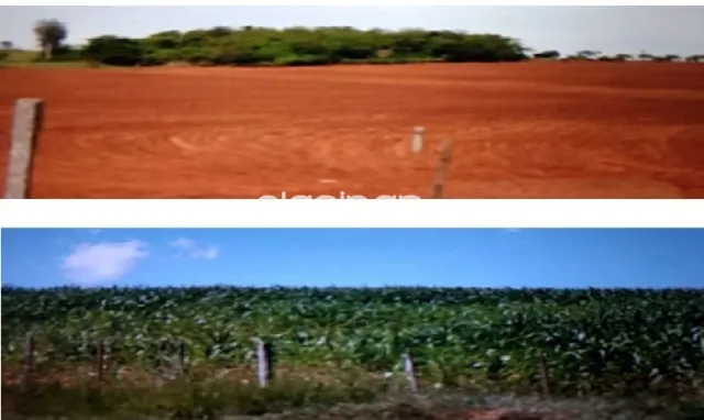 Campo de 12.168 Hectáreas en Yby Yaú, Concepción-CLCS5563364 — foto 2