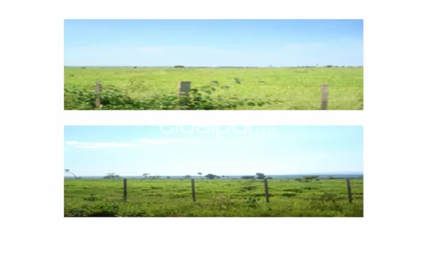 Campo de 12.168 Hectáreas en Yby Yaú, Concepción-CLCS5563364 — foto 4
