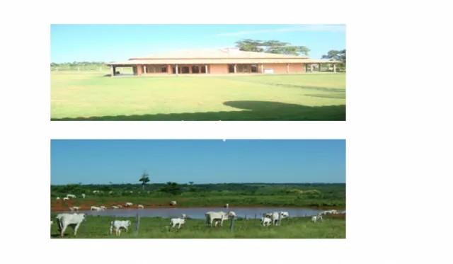 Campo de 12.168 Hectáreas en Yby Yaú, Concepción-CLCS5563364 — foto 5