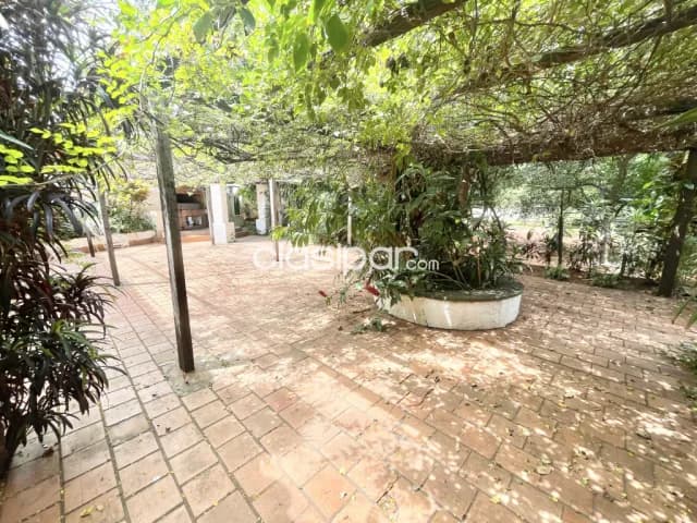 En Venta Propiedad/Terreno sobre Av. Prats Gill de 5.300 m2 - San Lorenzo V133 — foto 4
