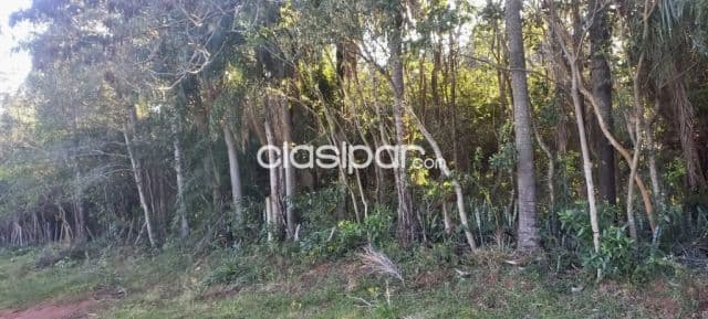 Terreno Rural en Paraguari - 1 Ha