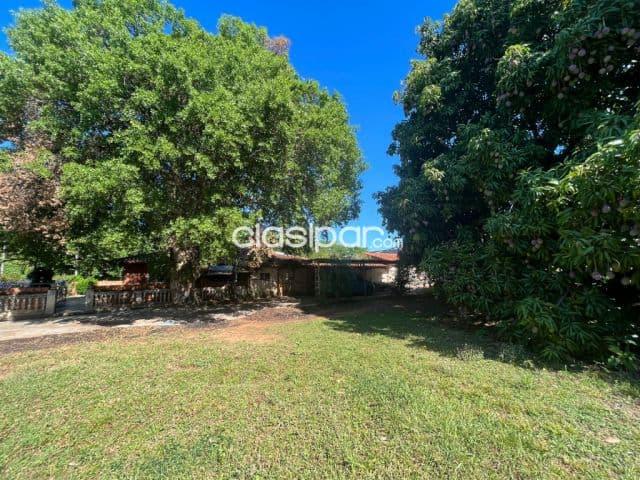 En limpio vendo propiedad 25.000 m2 a pasos de avda san jose y 10 km del aeropuerto int
