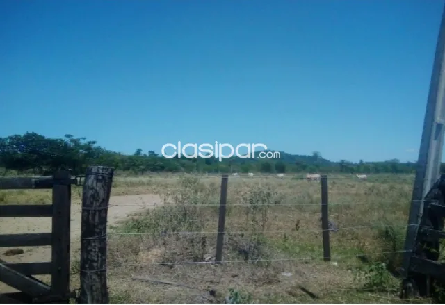 Establecimiento Ganadero de 13.000 Hectáreas en Caazapá-CLCS5567630 — foto 3