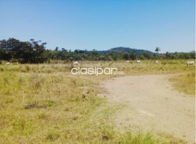 Establecimiento Ganadero de 13.000 Hectáreas en Caazapá-CLCS5567630 — foto 4