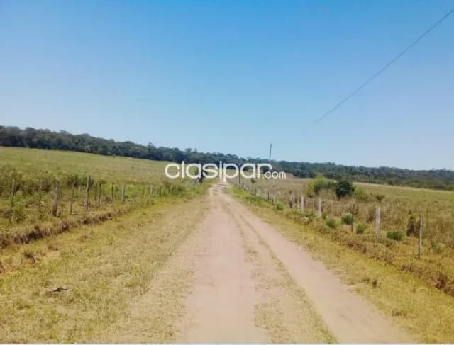 Establecimiento Ganadero de 13.000 Hectáreas en Caazapá-CLCS5567630 — foto 5