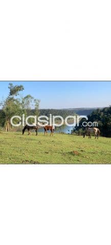 Estancia - Campo - Granja - Península Alto Paraná