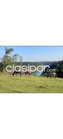 Estancia - Campo - Granja - Península Alto Paraná — foto 2