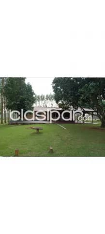 Estancia - Campo - Granja - Península Alto Paraná — foto 3