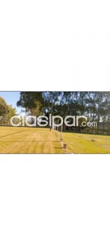 Estancia - Campo - Granja - Península Alto Paraná — foto 5