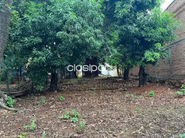 Terreno en asuncion barrio pettirossi cod 2327, foto 4