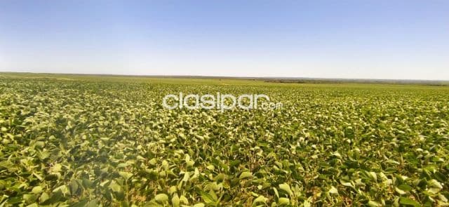 Campo de 10.019 Hectáreas en Cecilio Báez, Caaguazú-CLCS5576432, foto 1
