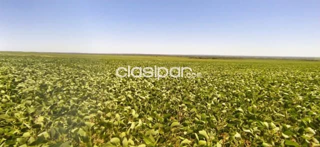 Campo de 10.019 Hectáreas en Cecilio Báez, Caaguazú-CLCS5576432, foto 2