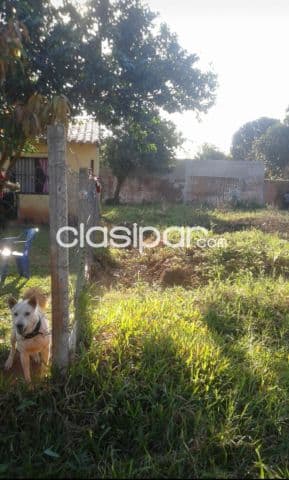Terreno en capiata barrio san antonio cod 2411 — foto principal