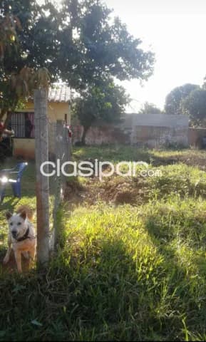 Terreno en capiata barrio san antonio cod 2411 — foto 2