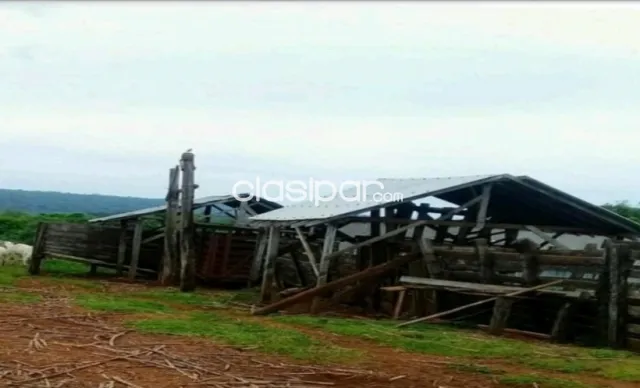 Campo de 63 Hectáreas en Alto Paraná, Los Cedrales-CLCS5607358 — foto 3