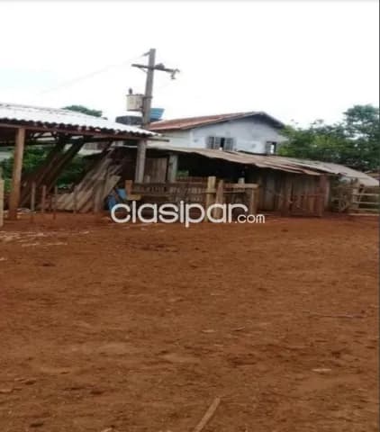 Campo de 63 Hectáreas en Alto Paraná, Los Cedrales-CLCS5607358 — foto 4