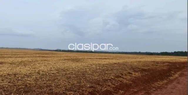 Campo de 101 Hectáreas en Cedrales, Alto Paraná-CLCS5609467 — foto 2