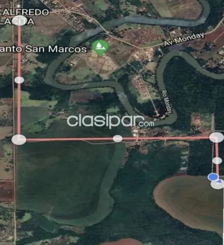 Campo de 101 Hectáreas en Cedrales, Alto Paraná-CLCS5609467 — foto 3