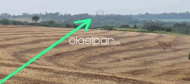 Campo de 101 Hectáreas en Cedrales, Alto Paraná-CLCS5609467 — foto 5