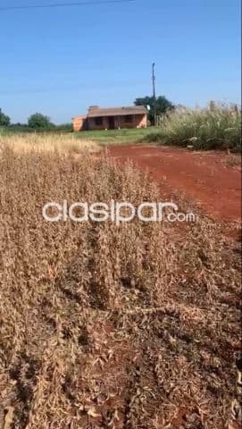 Minga guazú – alto paraná s/ ruta: 20 has de explotación multiuso, camino a santa rita