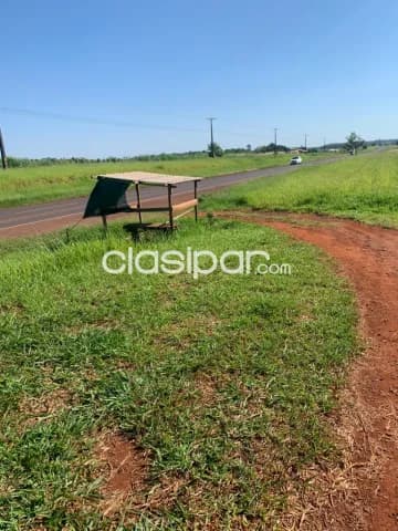 Minga guazú – alto paraná s/ ruta: 20 has de explotación multiuso, camino a santa rita, foto 3