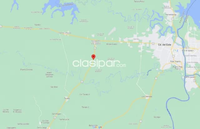 Minga guazú – alto paraná s/ ruta: 20 has de explotación multiuso, camino a santa rita, foto 5