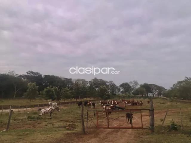 Campo en arroyos y esteros,compañia del carmen — foto 3