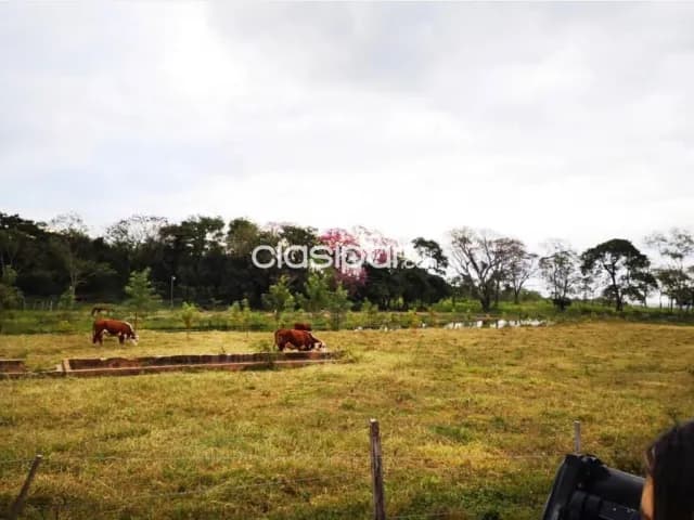 Campo en arroyos y esteros,compañia del carmen — foto 4