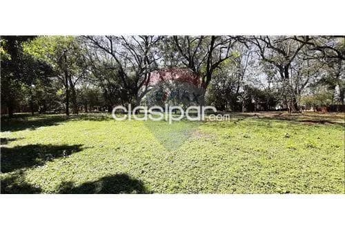 Importante terreno de 14.500m2 en V. Elisa 3 bocas, foto 3