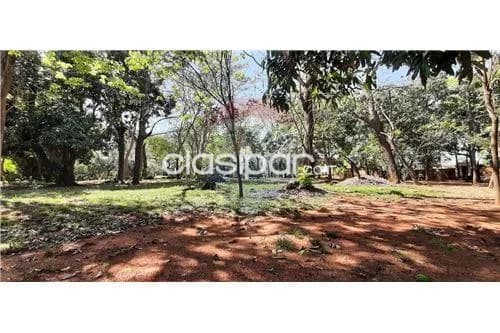 Importante terreno de 14.500m2 en V. Elisa 3 bocas, foto 4