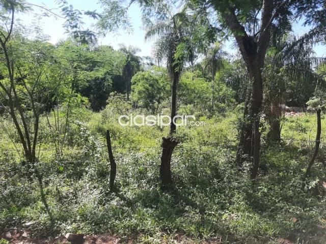 Terreno en limpio, 800 mts² (20x40), colonia juan de salazar!!, foto 3