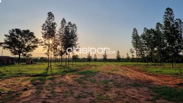 Lotes en venta - ciudad de nueva italia, foto 5