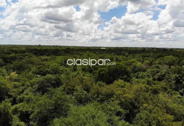 En venta 7.5 has en chacoi con salida al río (nueva Asunción), foto 3