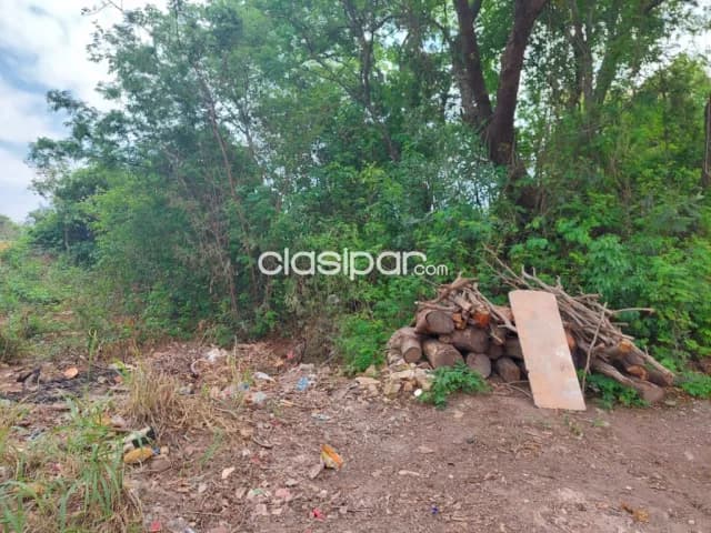 Oferta en aregua, tres terrenos juntos — foto 4