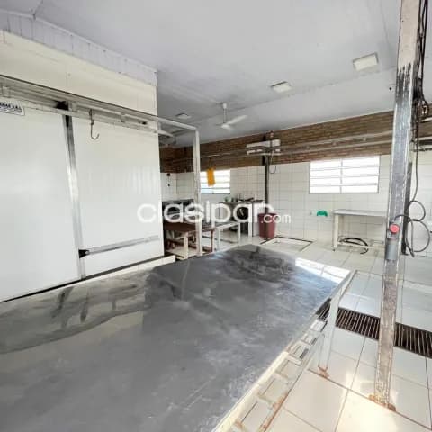 planta de producción de carne porcina, foto 5