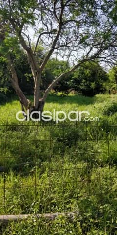 Terreno en san antonio barrio la merced cod 2513, foto 3