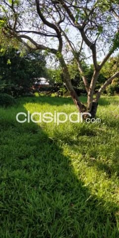 Terreno en san antonio barrio la merced cod 2513, foto 4