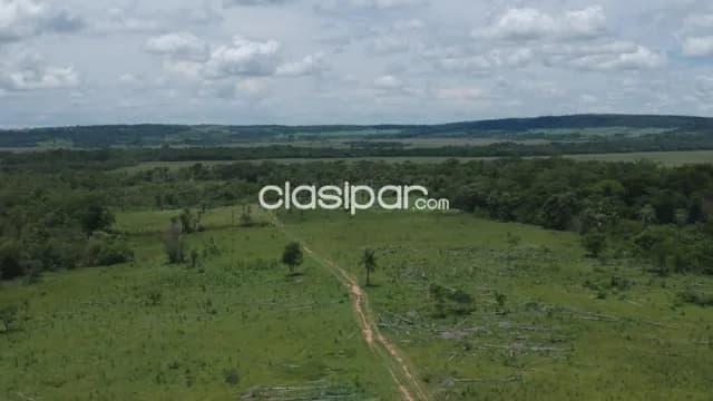 Campo - estancia en paraguari-mbuyapey — foto 4