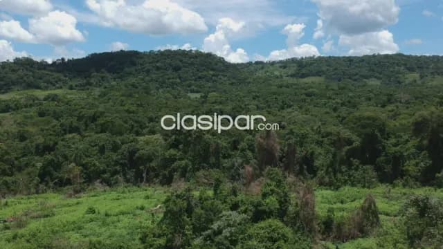 Campo - estancia en paraguari-mbuyapey — foto 5