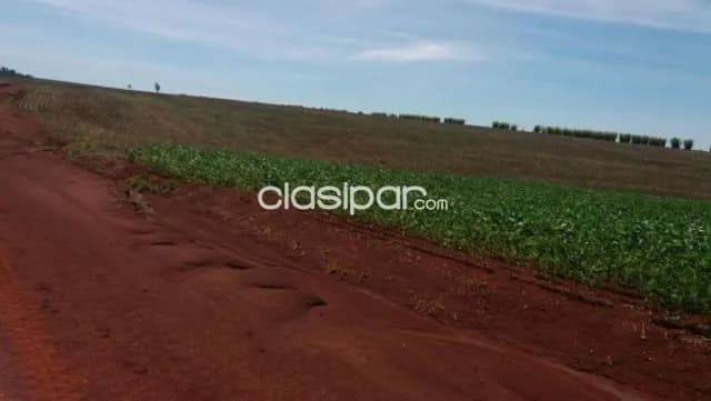 Alto parana – en venta: Disponemos maravillosas opciones de 2.000 a 20.000 has p/ inversor — foto 4