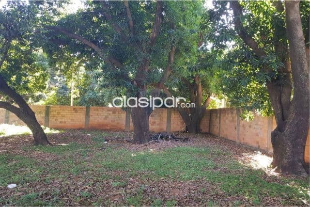 Terreno de 360 m2 a 1 cuadra de cacique, Lambaré