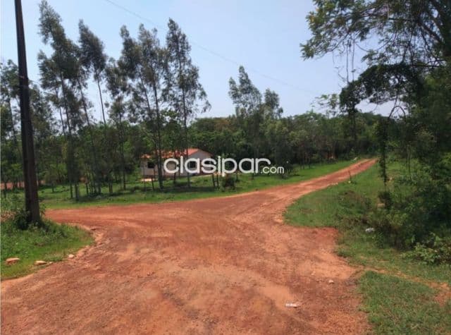 Campo en Nueva Colombia 12 hectareas A 5 del centro de Nueva Colombia