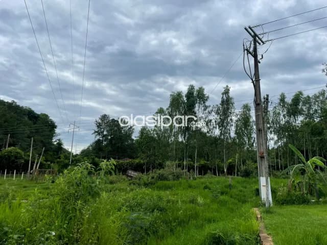 Amplio terreno en itaugua - guazuvira — foto 5