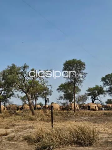 Campo de 2.207 Hectáreas en Zona La Patria-CLCS5680804 — foto 2