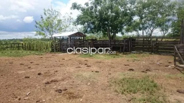 1.060 hectáreas sobre ruta departamento de caaguazu-carayao — foto 3