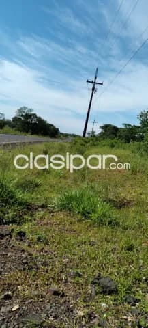 1.060 hectáreas sobre ruta departamento de caaguazu-carayao — foto 5